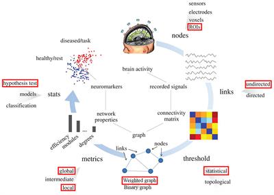 Evaluation of Changes in the Motor Network Following BCI Therapy Based on Graph Theory Analysis